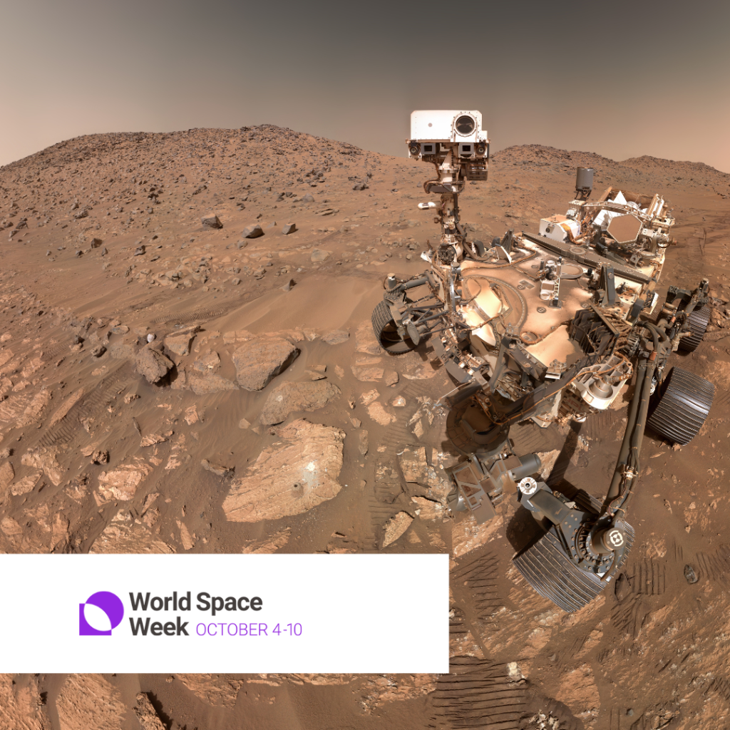 Martian microbes
