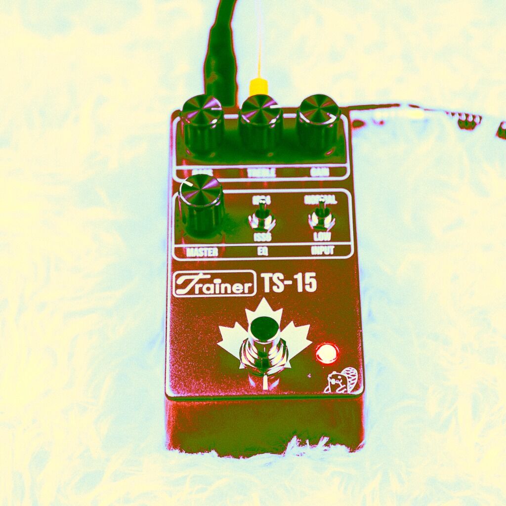 Trainer TS-15 MKII by Drunk Beaver pedals