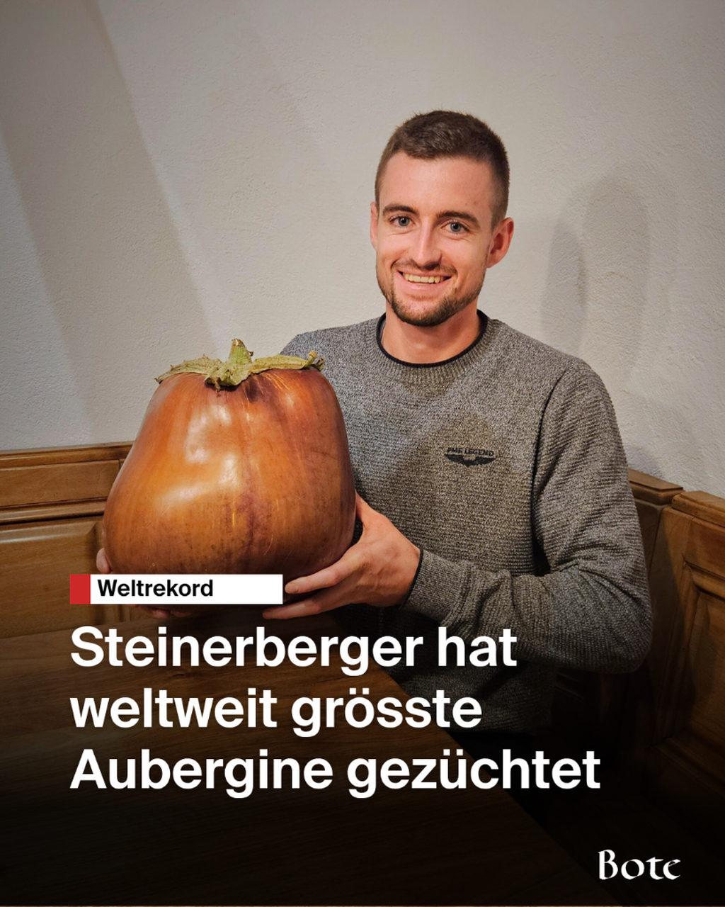 Aubergine Weltrekord