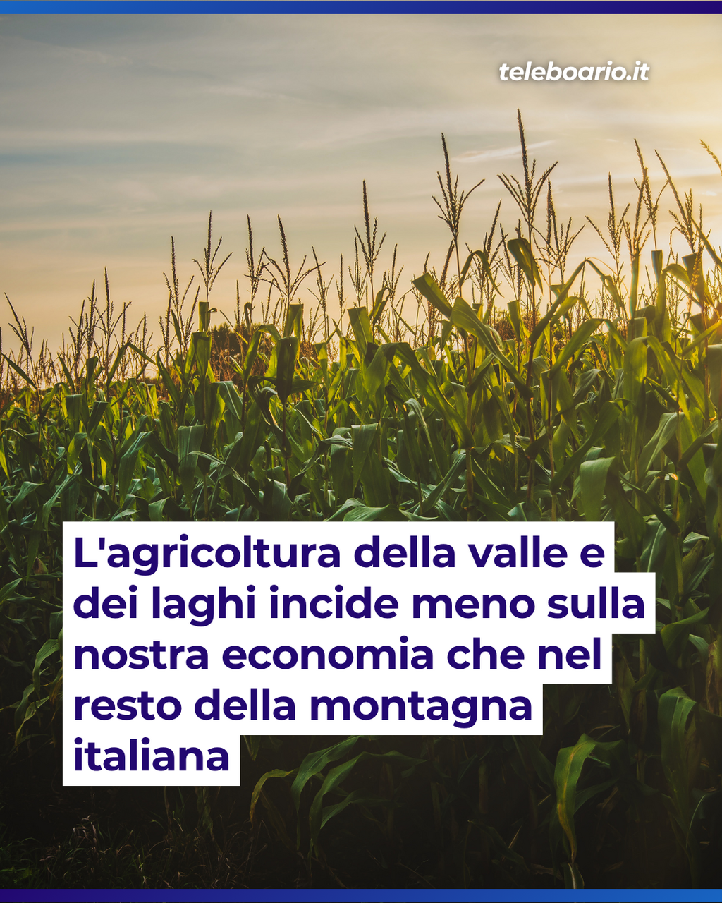 https://www.teleboario.it/notizia/15143/agricoltura-in-difficolt/