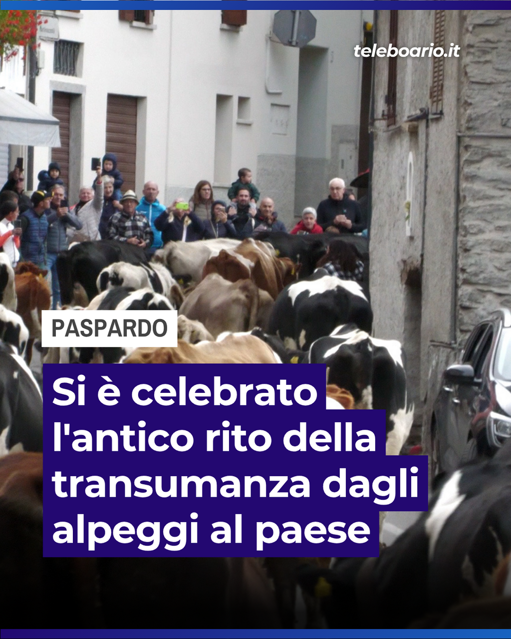 https://www.teleboario.it/notizia/15164/paspardo-in-festa-con-la-transumanza/
