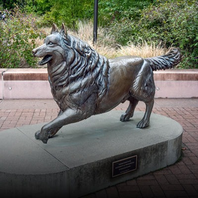 Student Organizations