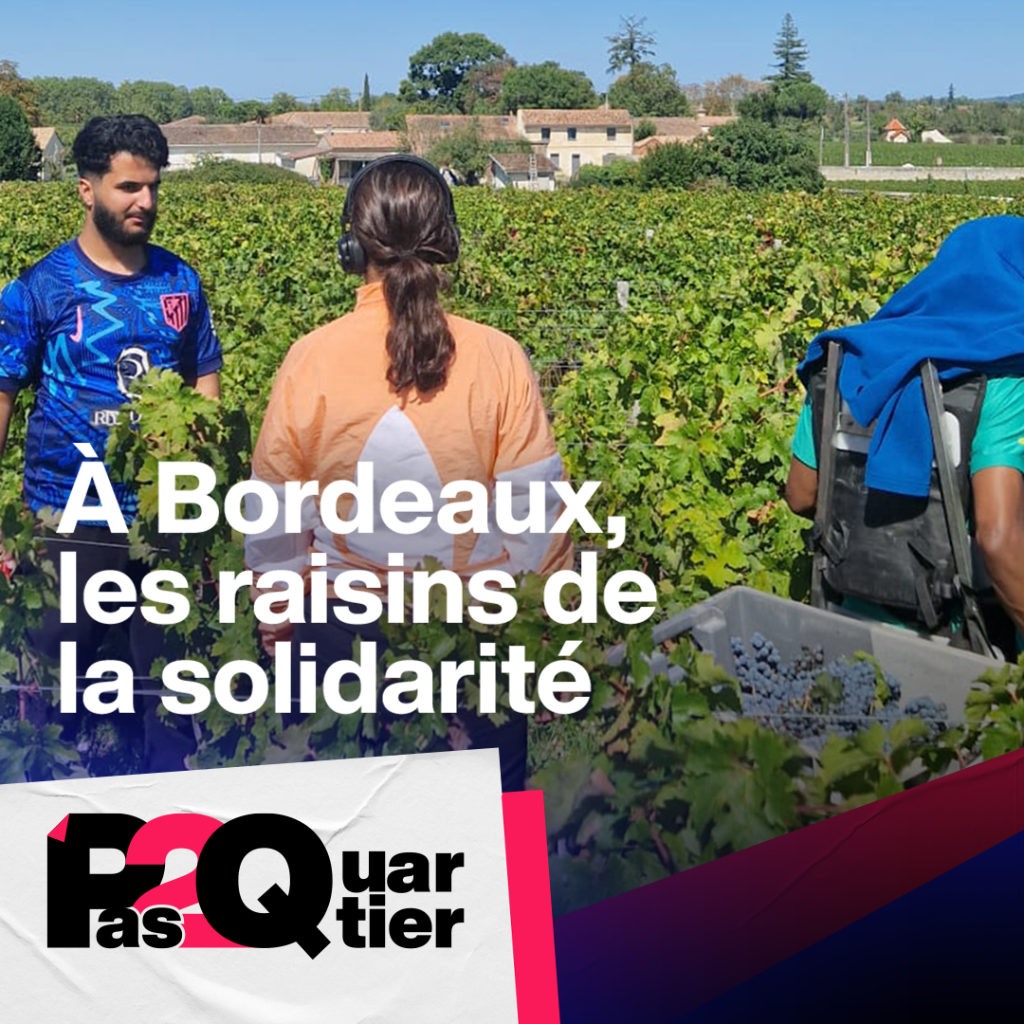 &Agrave; Bordeaux, les raisins de la solidarit&eacute;
