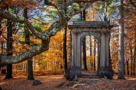 Best spots to see fall colours in Gatineau Park
