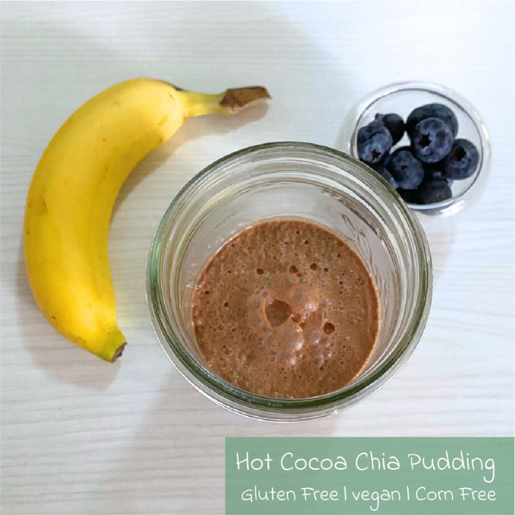 Dairy Free, Gluten Free Hot Cocoa Chia Pudding Recipe