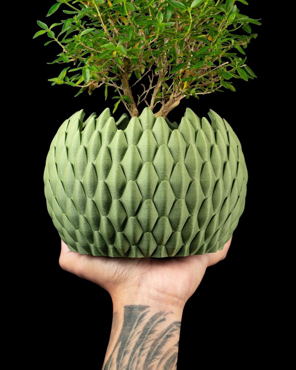 Dragonscale Planter Pot 02