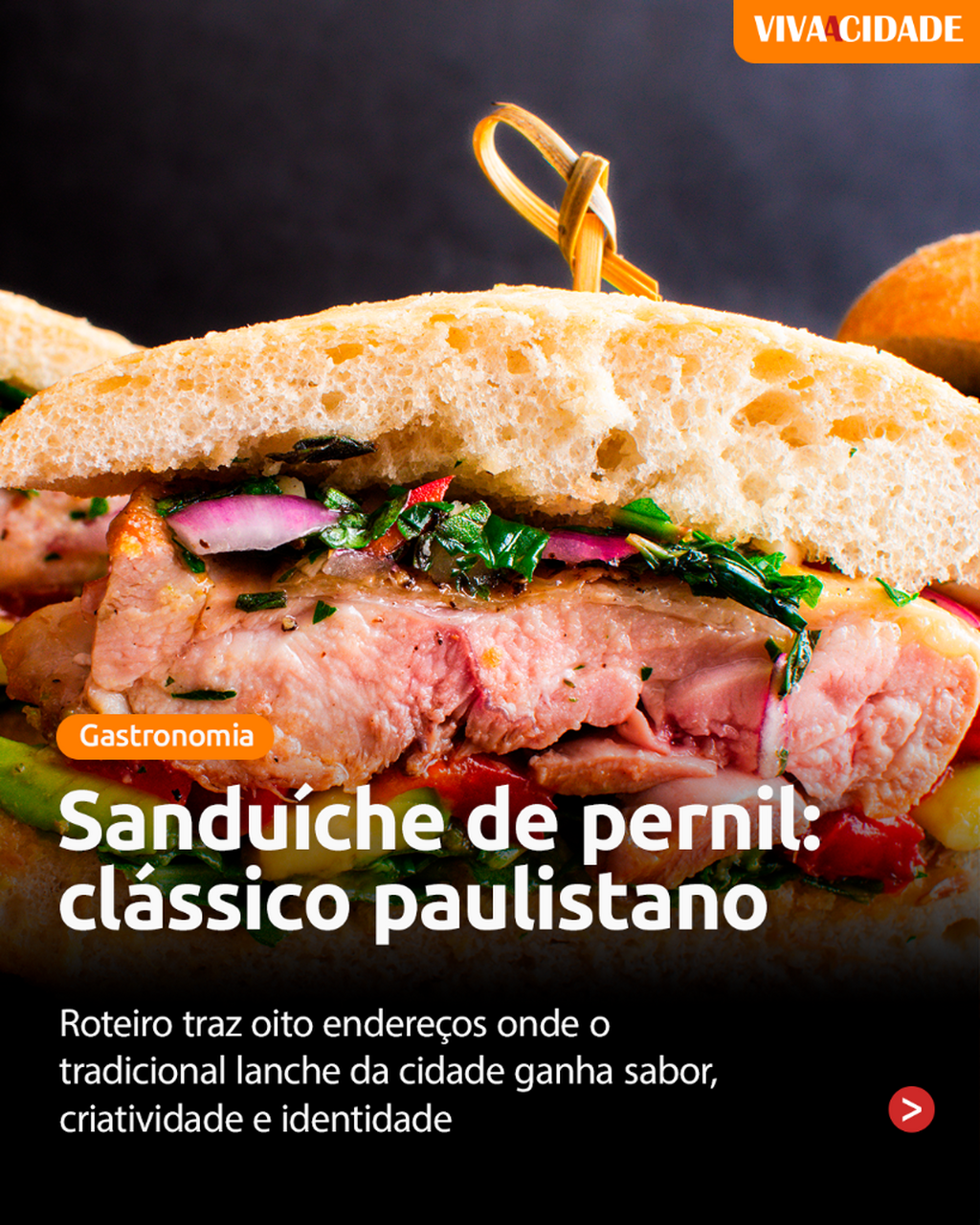 SANDU&Iacute;CHE DE PERNIL 