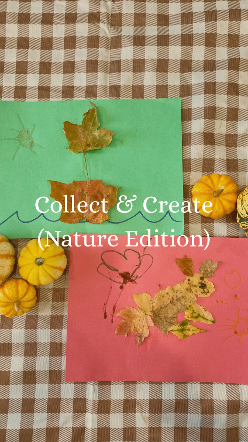 Collect & Create Activity Outline