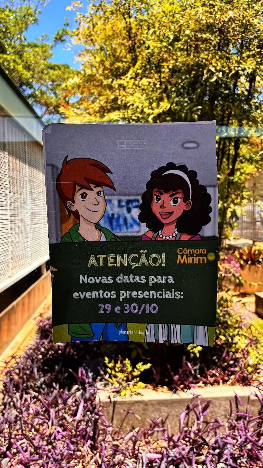 C&acirc;mara Mirim