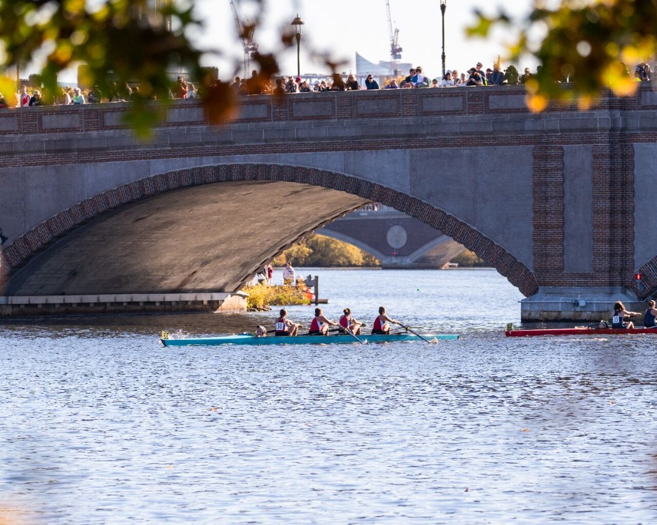 Concept2 at HOCR 2025: Powering Rowers, Stories & Community