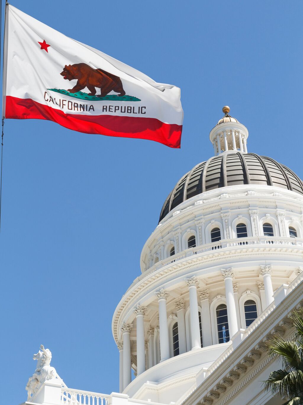 BCPP Statement on the Veto of AB 823 and SB 682