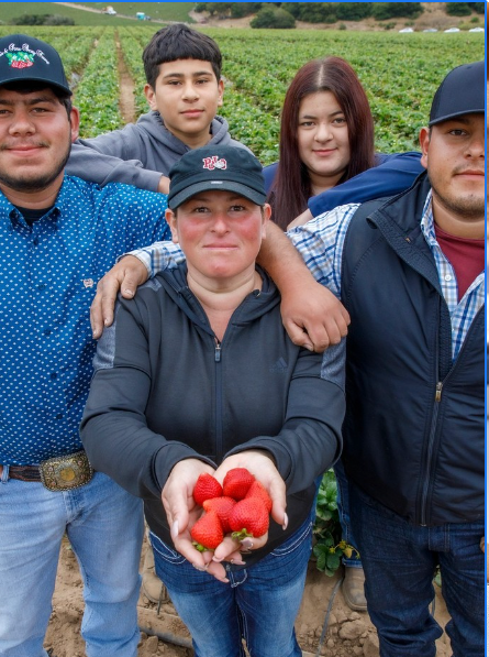 Growing Communities | California Strawberries