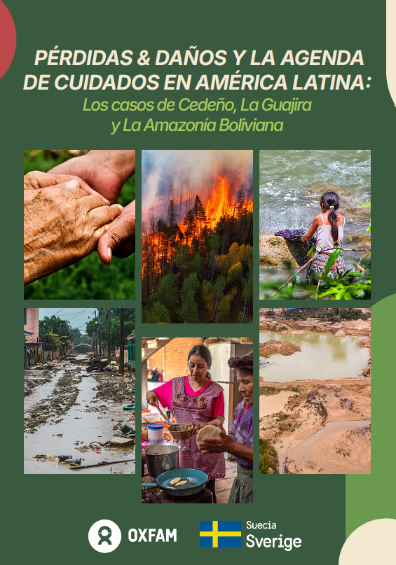 P&Eacute;RDIDAS & DA&Ntilde;OS Y LA AGENDA DE CUIDADOS EN AM&Eacute;RICA LATINA: Los casos de Cede&ntilde;o, La Guajira y La Amazon&iacute;a Boliviana