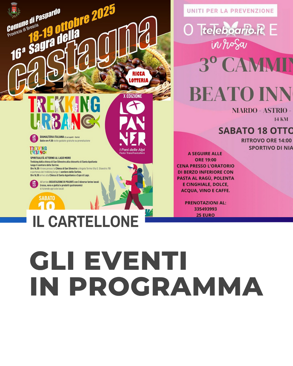 https://www.teleboario.it/notizia/15260/weekend-tra-castagne-pane-e-benessere/