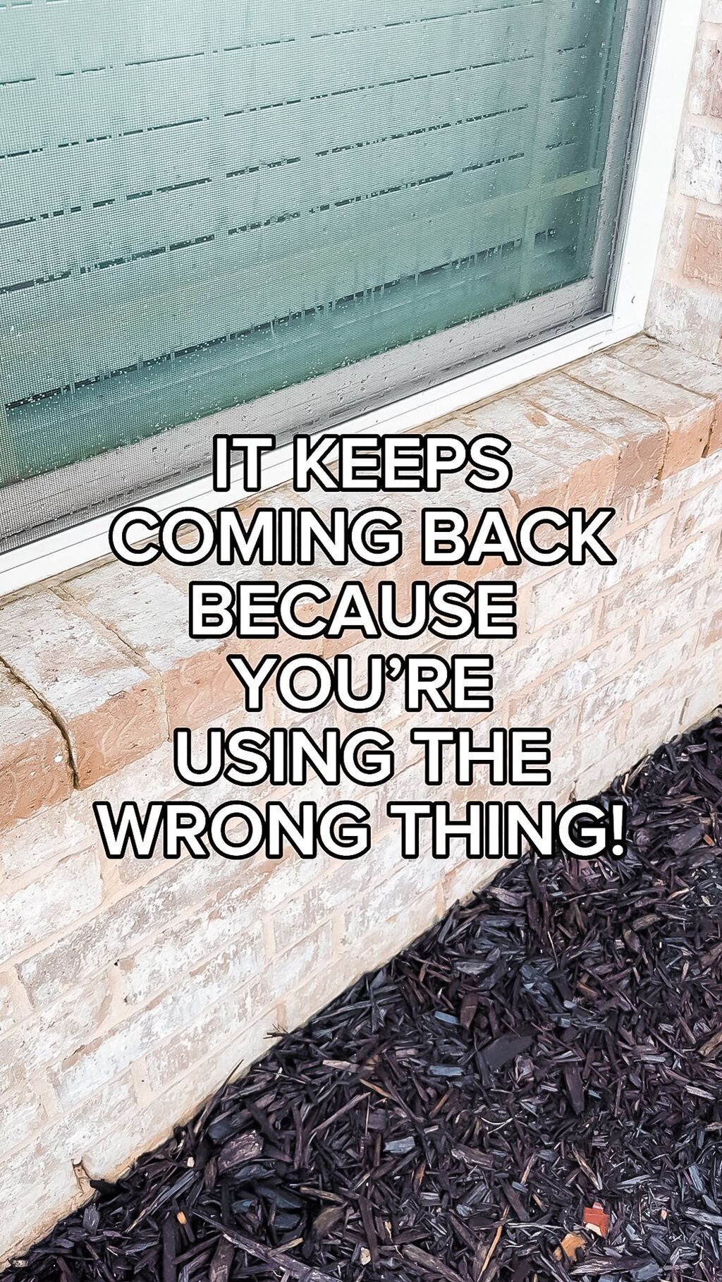REMOVE MOLD AND STAINS WITH THIS ONE PRODUCT
