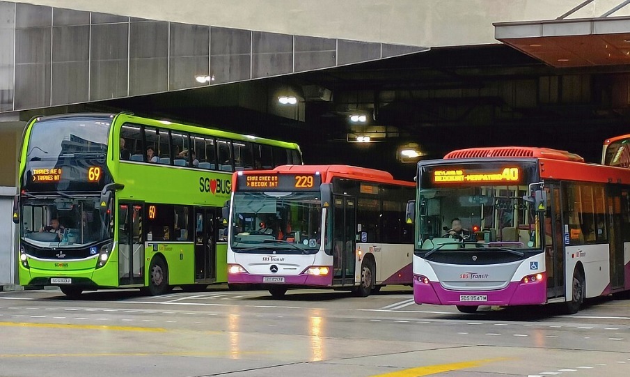 Public Transport - Bus