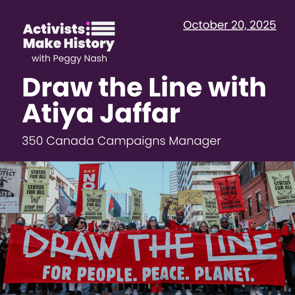 Activists Make History: Draw the Line with Atiya Jaffar | Perspectives Journal