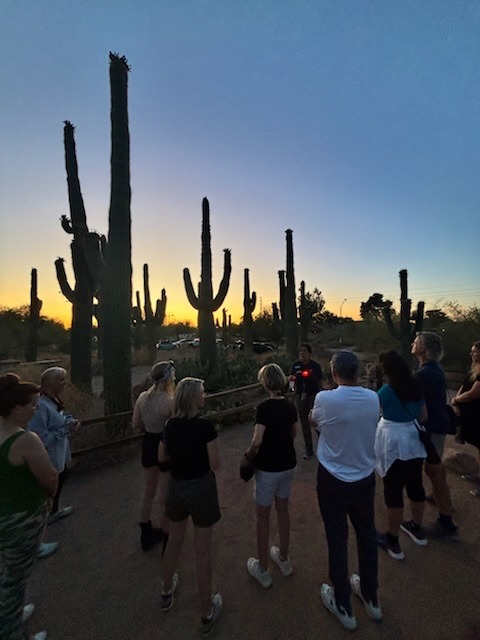 Naturalist Guided Night Hike