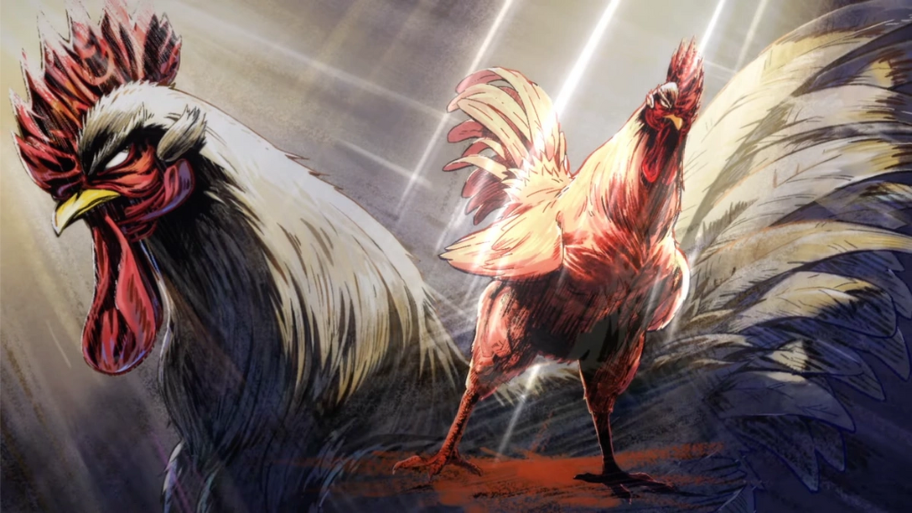 Rooster Fighter Anime