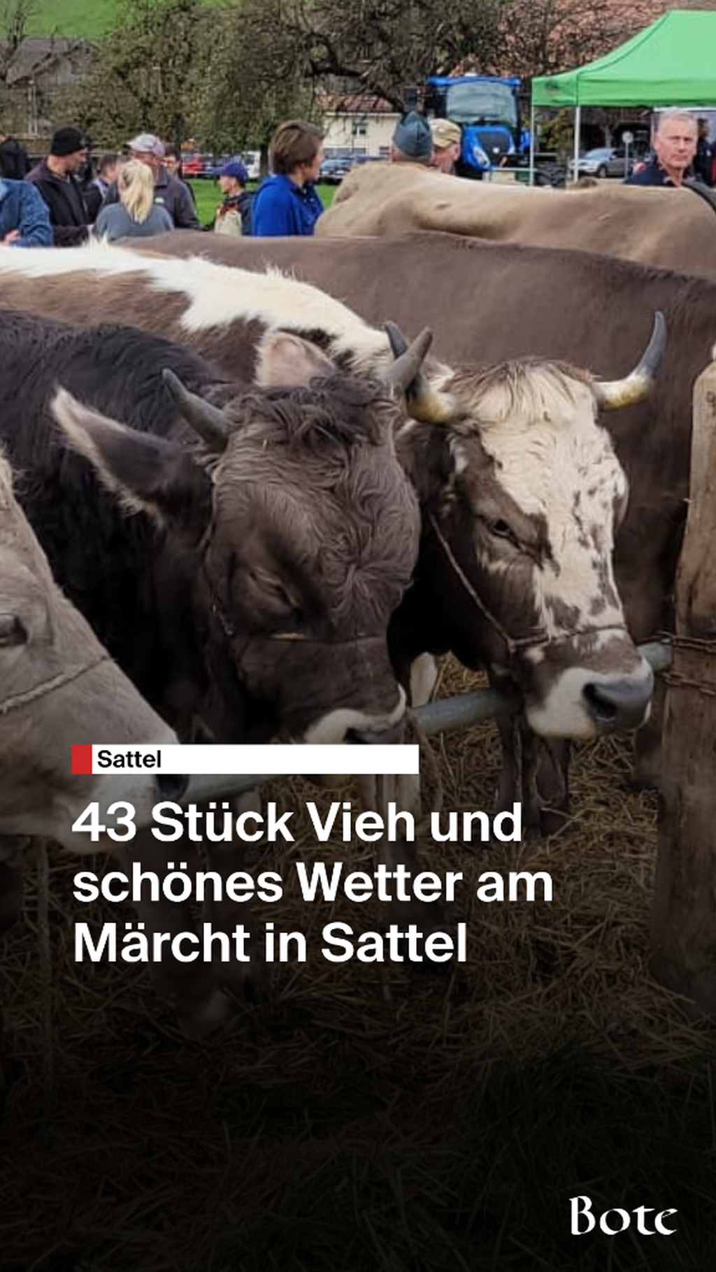 Sattel