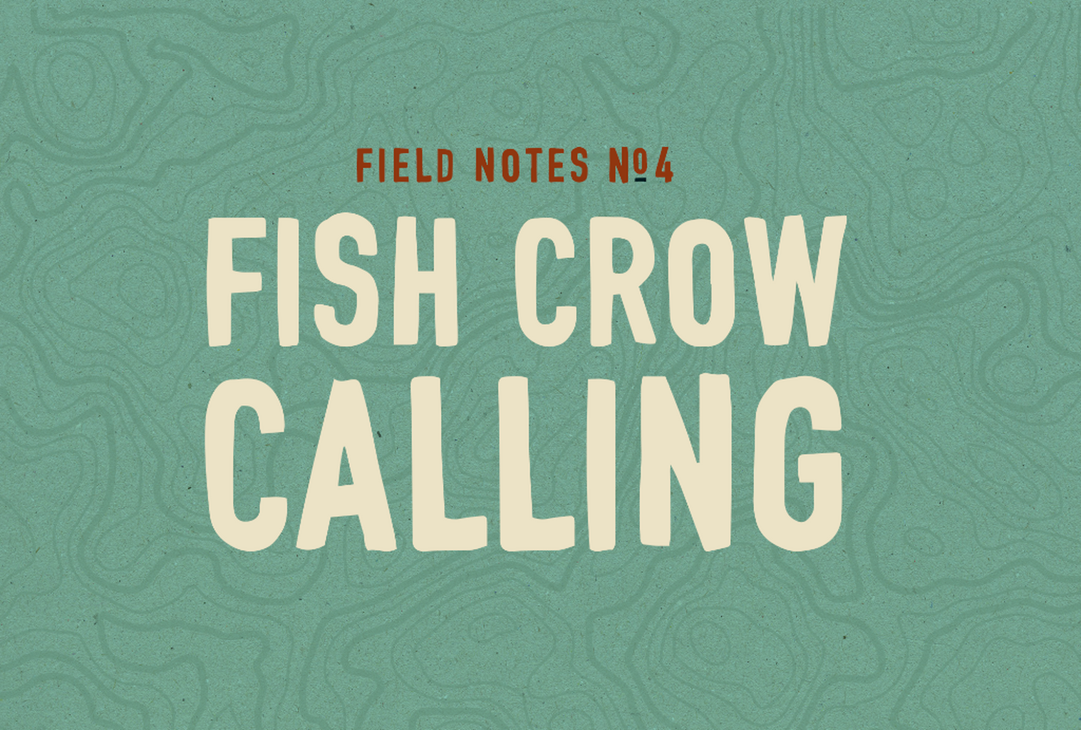 🐦&zwj;⬛ Field Notes #4: Fish Crow Calling
