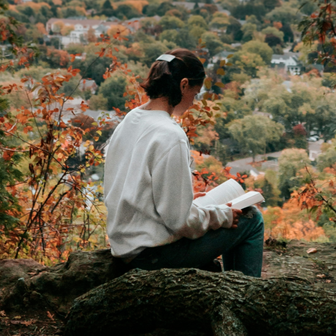 15 fall Bible verses to celebrate the season