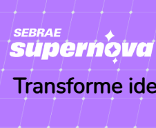 SUPERNOVA SEBRAE