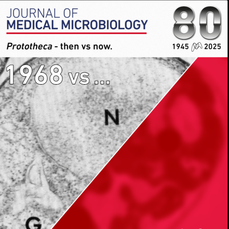 JMM now and then - Prototheca