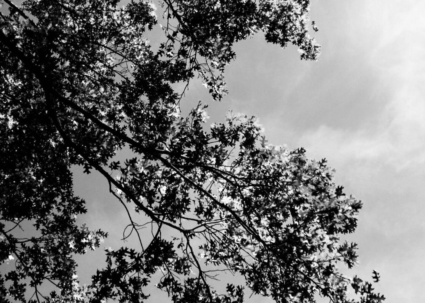 I Want to Know What You Think about the Weather: On the Value of Small Talk [Substack]