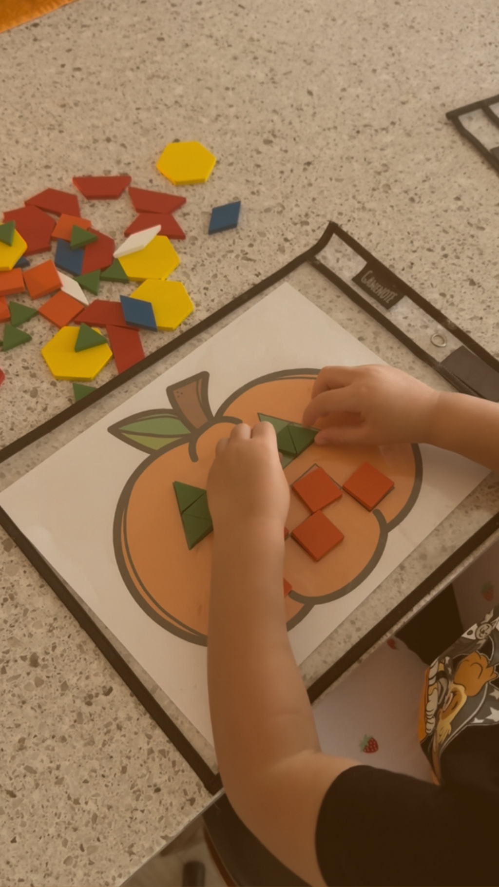 Teaching The Whole Child's Blog