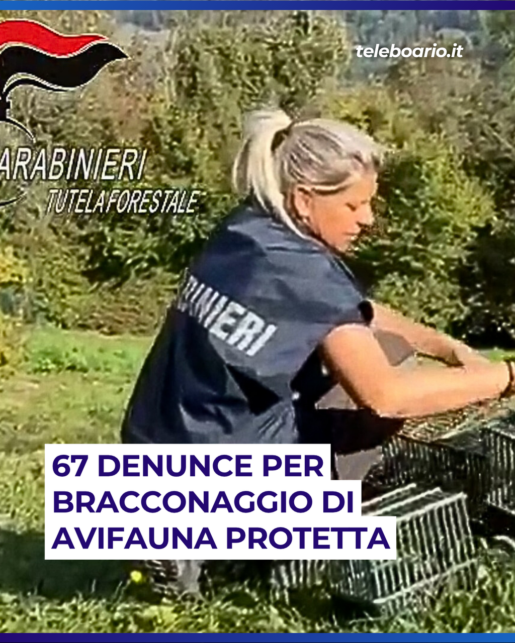 https://www.teleboario.it/notizia/15319/bracconaggio-67-arresti-usavano-archetti-per-abbattere-avifauna-protetta/