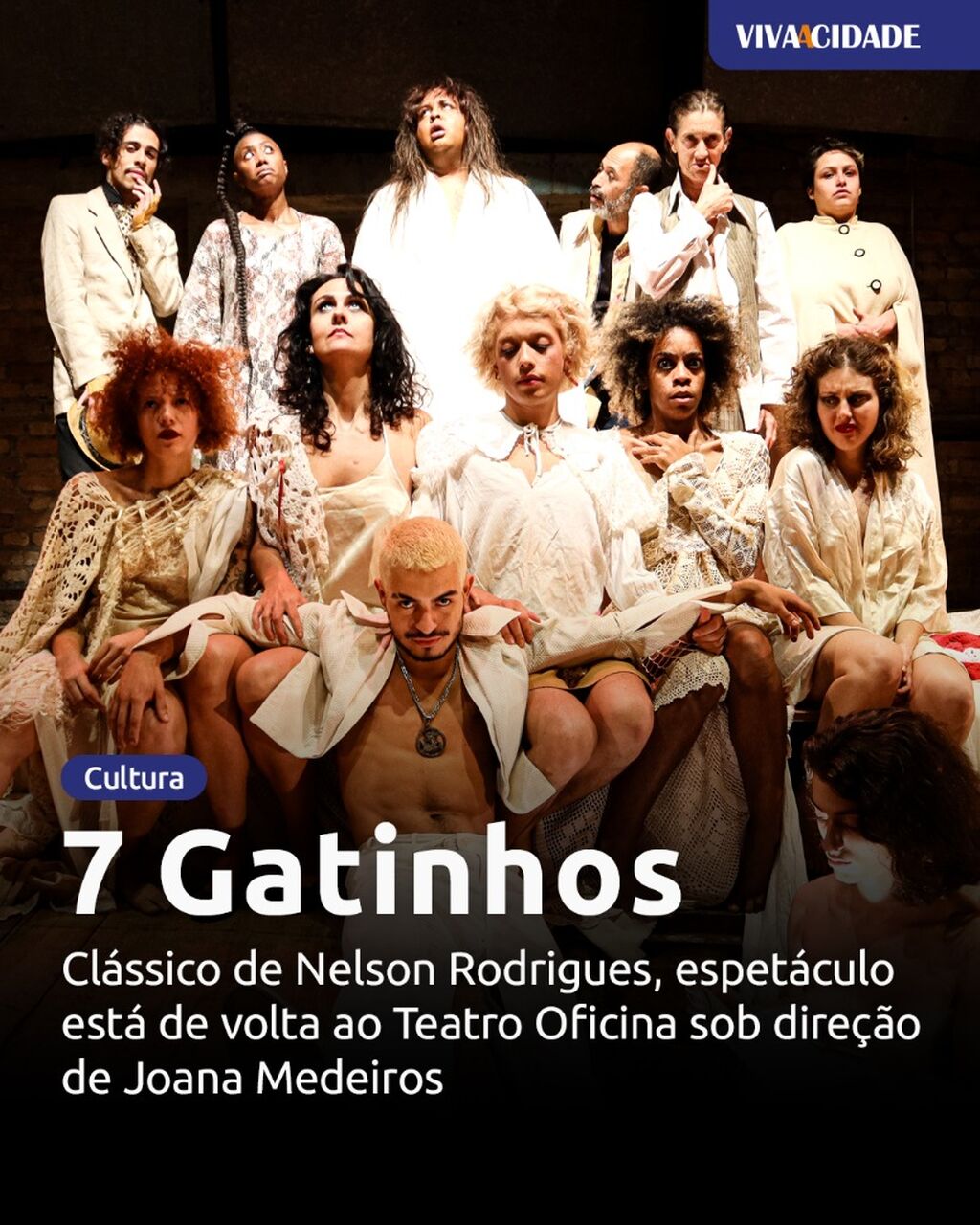 7 Gatinhos