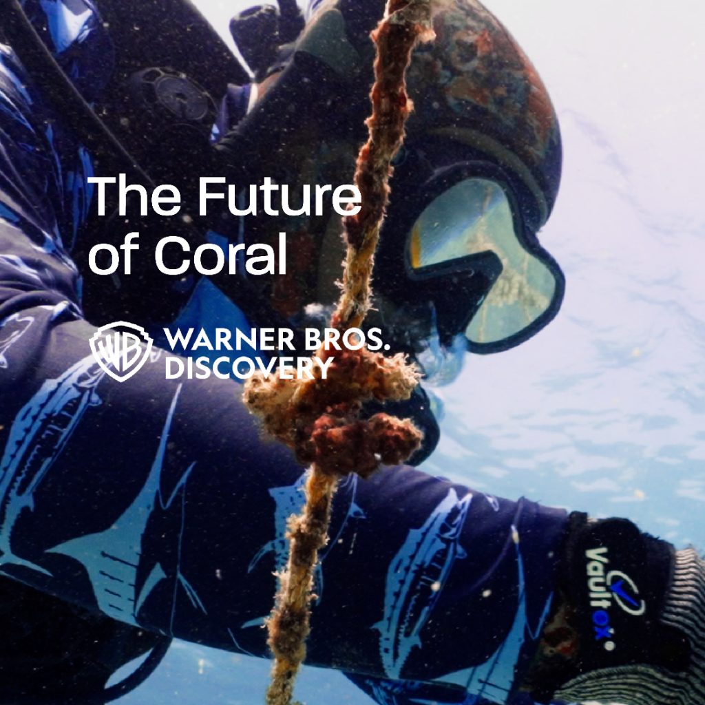 The Future of Coral