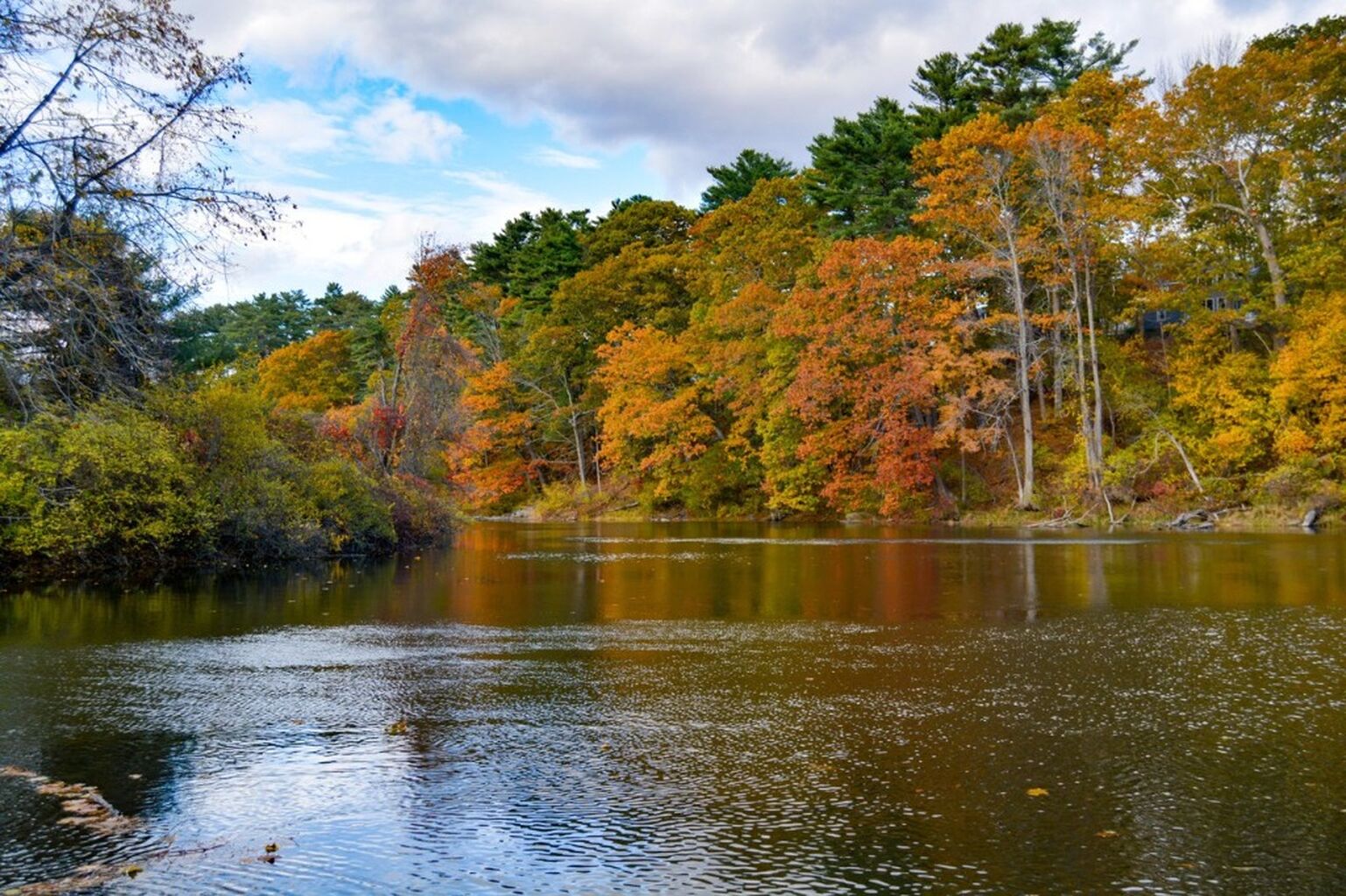 Maine Fall Weddings