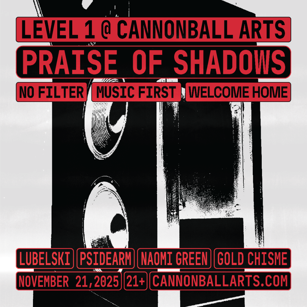 Praise Of Shadows