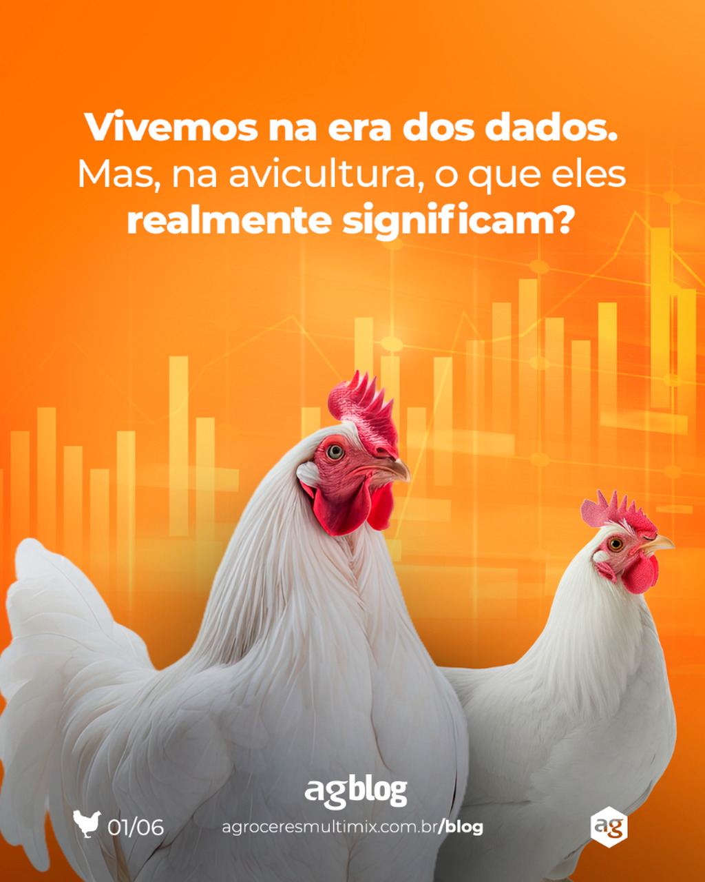 Aves &ndash; pesquisa aplicada e estat&iacute;sticas 