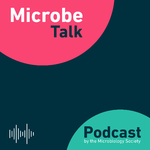 The Kocurious Case of Noodlococcus: From Discovery to Community