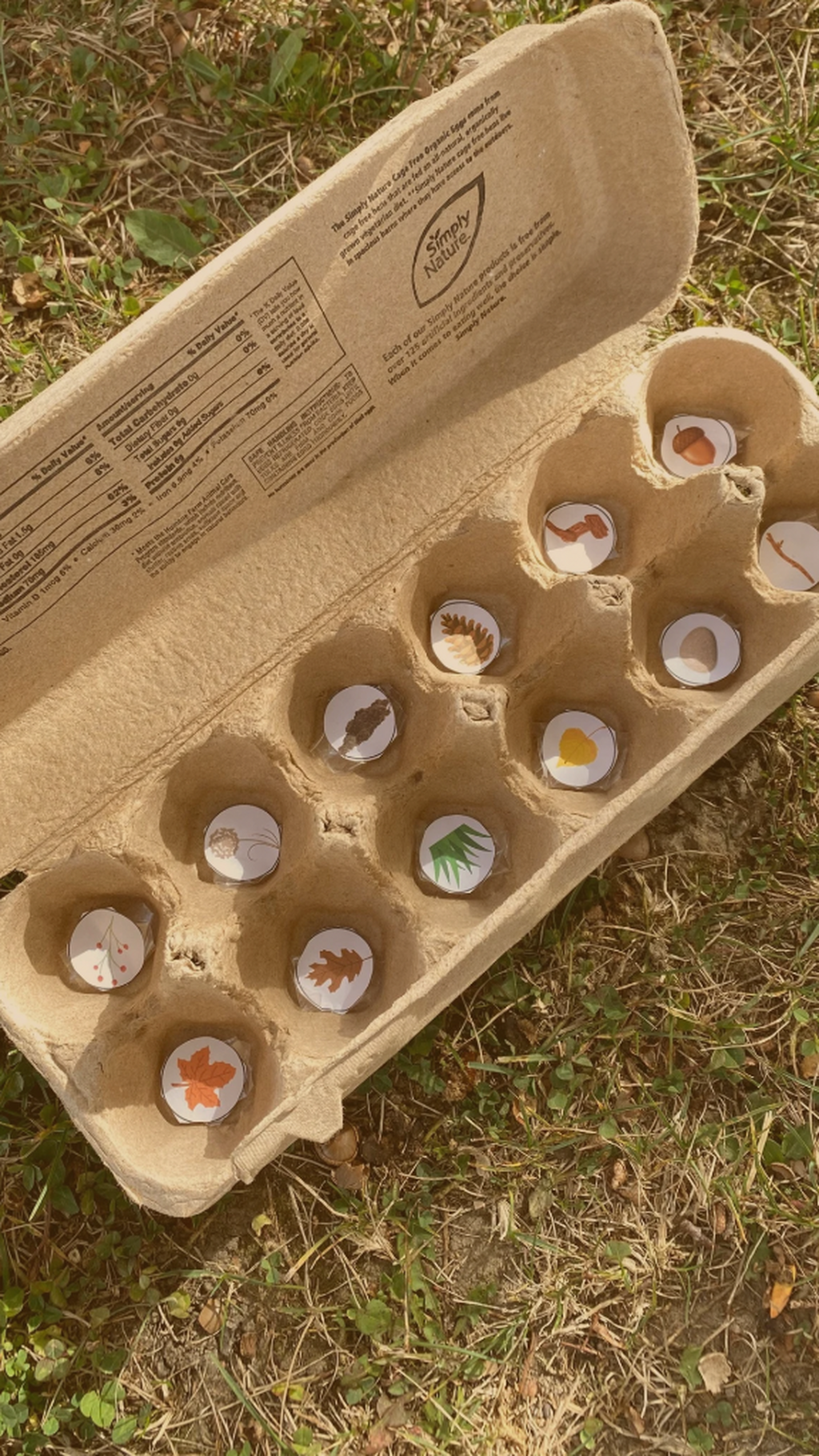Egg Carton Scavenger Hunt
