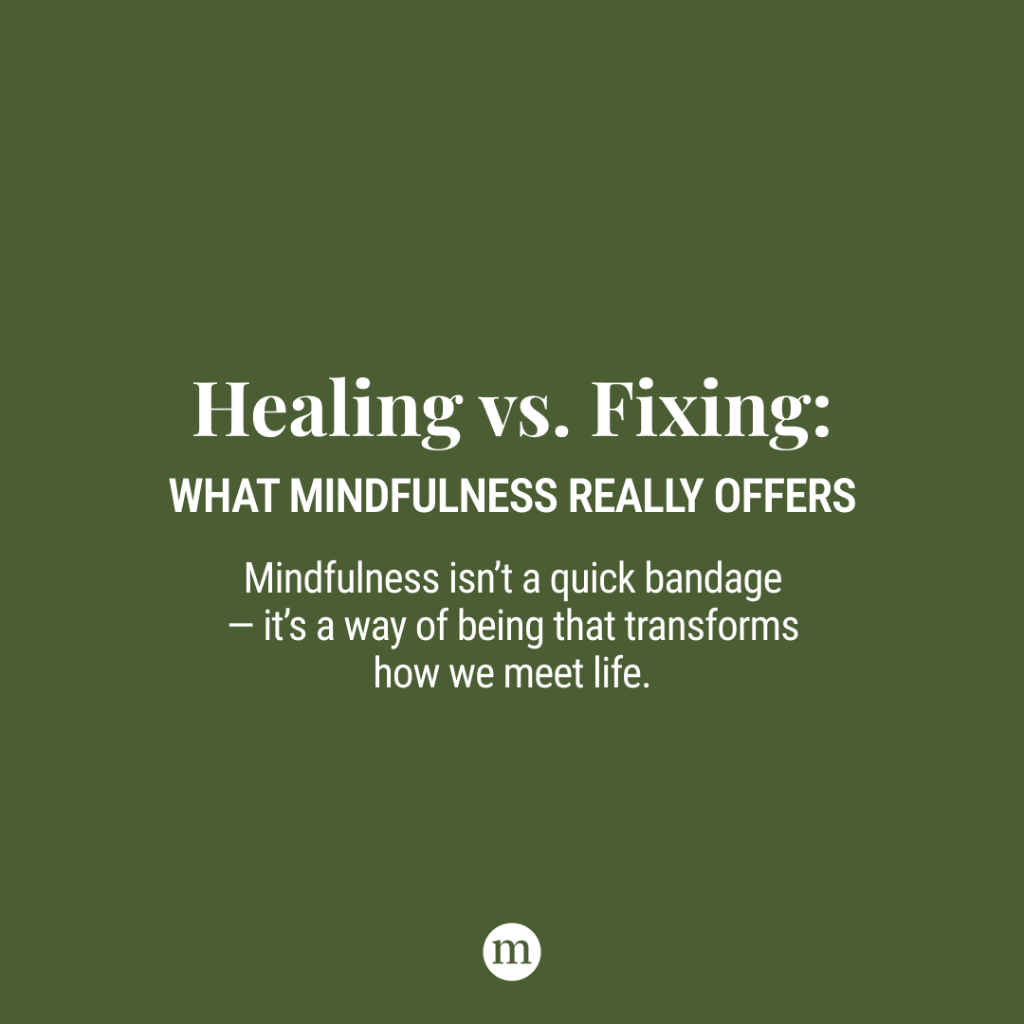The Difference Between Healing and Fixing in the Practice of Mindfulness