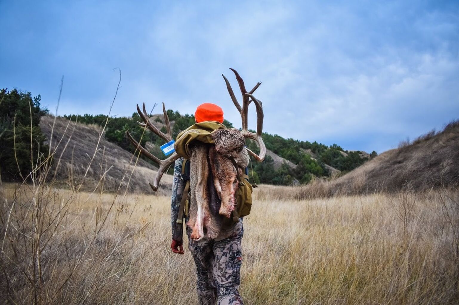 Packouts & Bears: Meat Care and Safety in Predator Country
