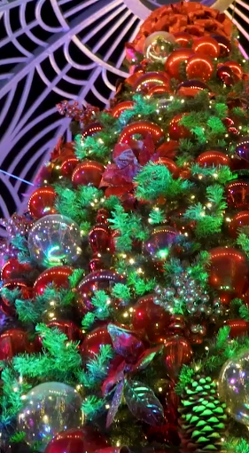 Holidays at Balboa Bay