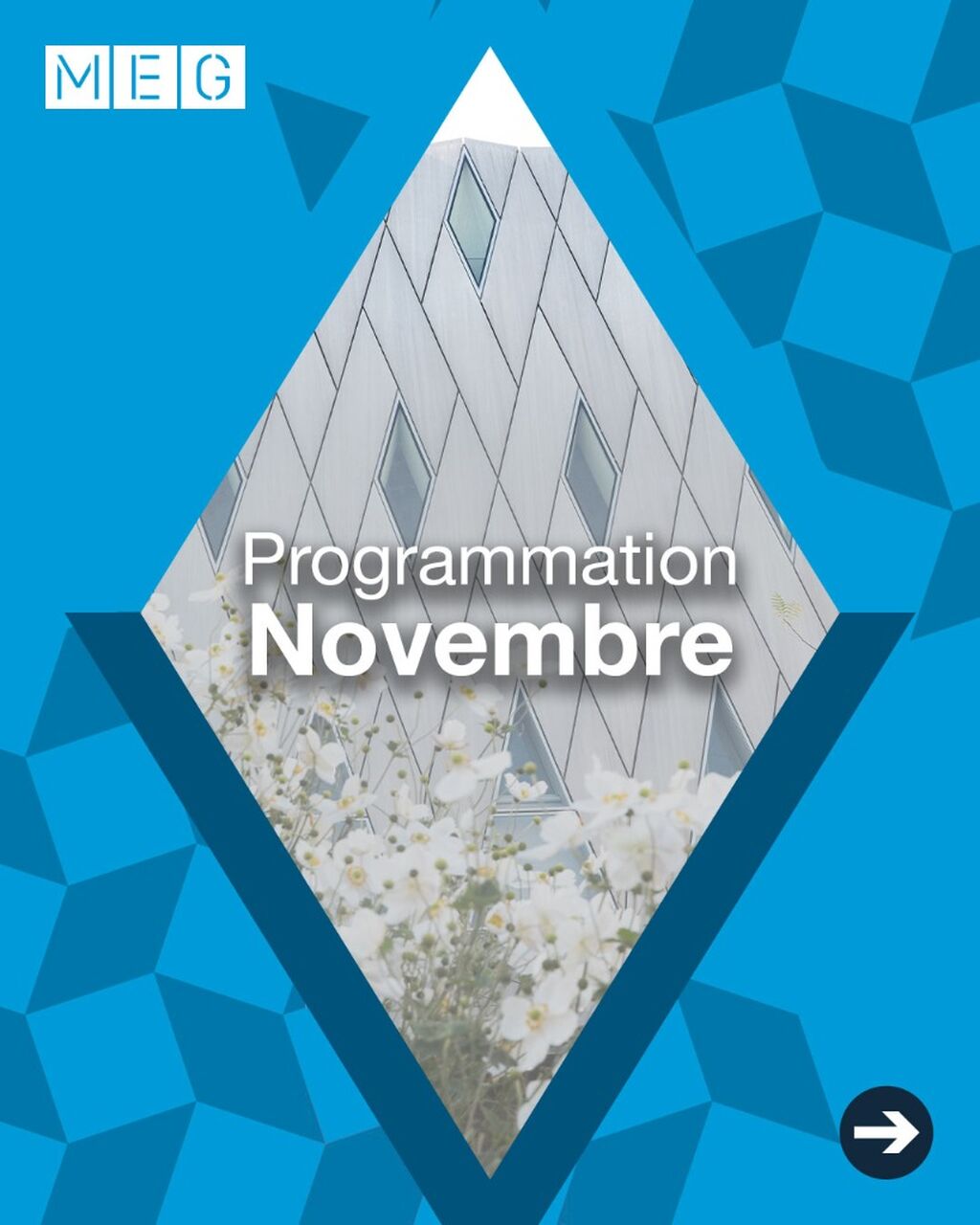Un mois de novembre artistique au MEG 🎭