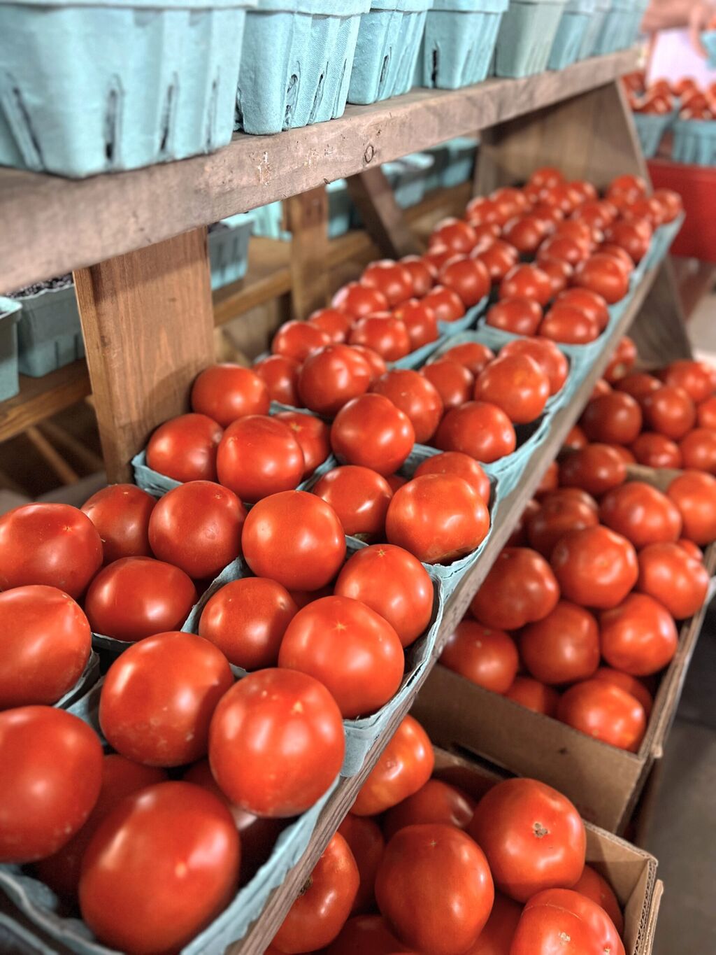 Hudson County Community Unites To Provide Local Resources Amidst SNAP Benefits Suspension: See What&rsquo;s Near You 