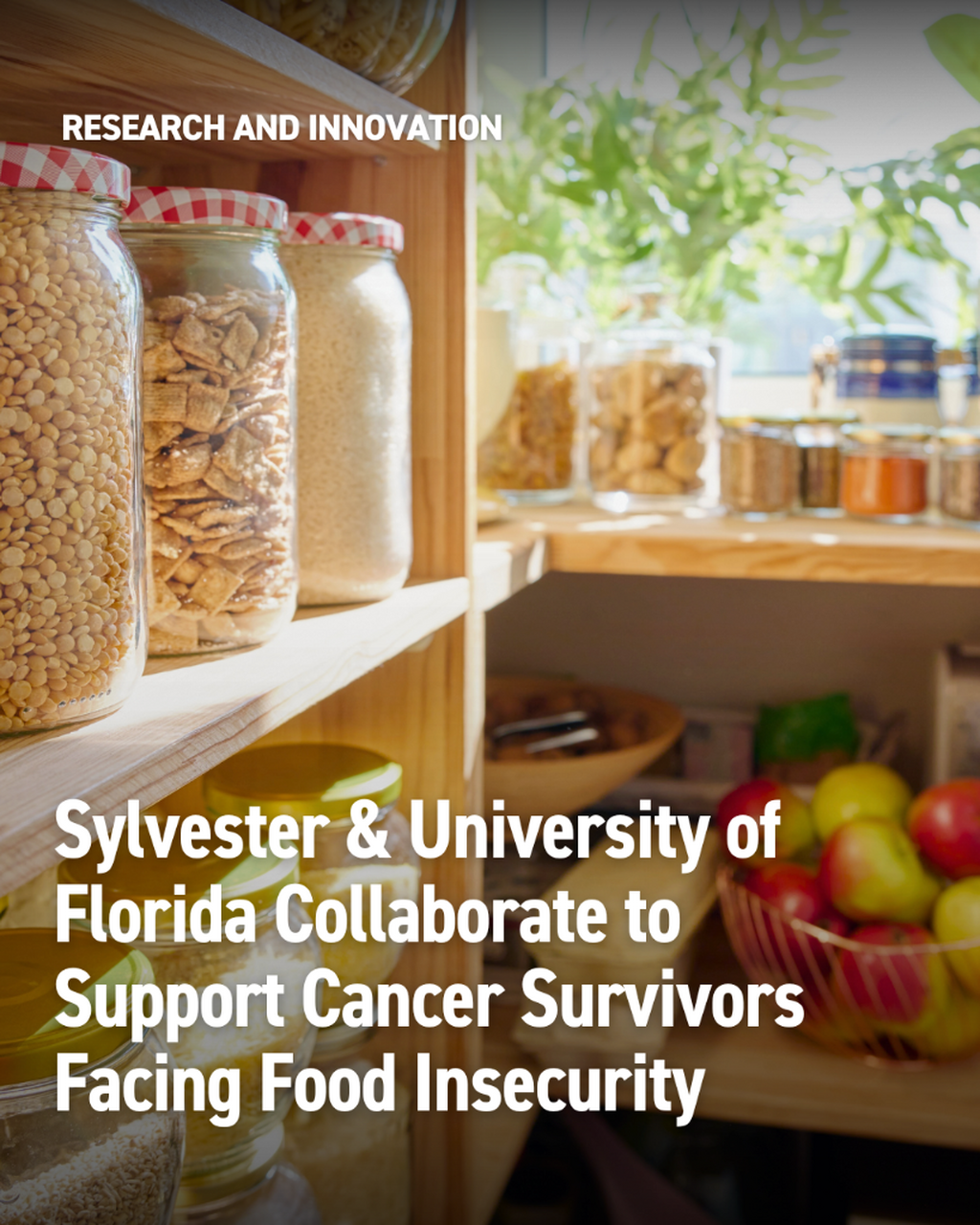 A Model for Assessing and Treating Food Insecurity Among Cancer Survivors - InventUM