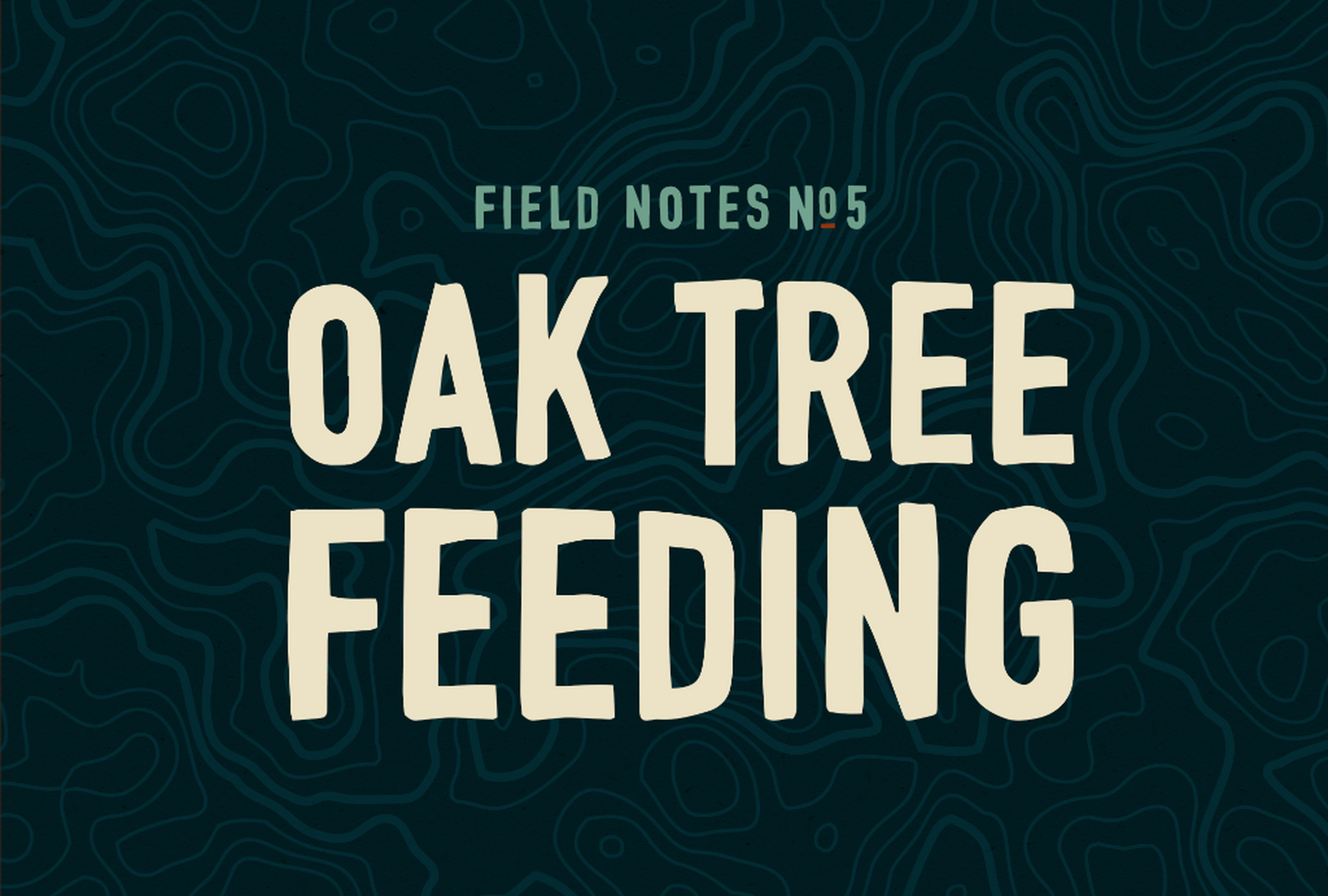🌳 Field Notes #6: Oak Tree Feeding