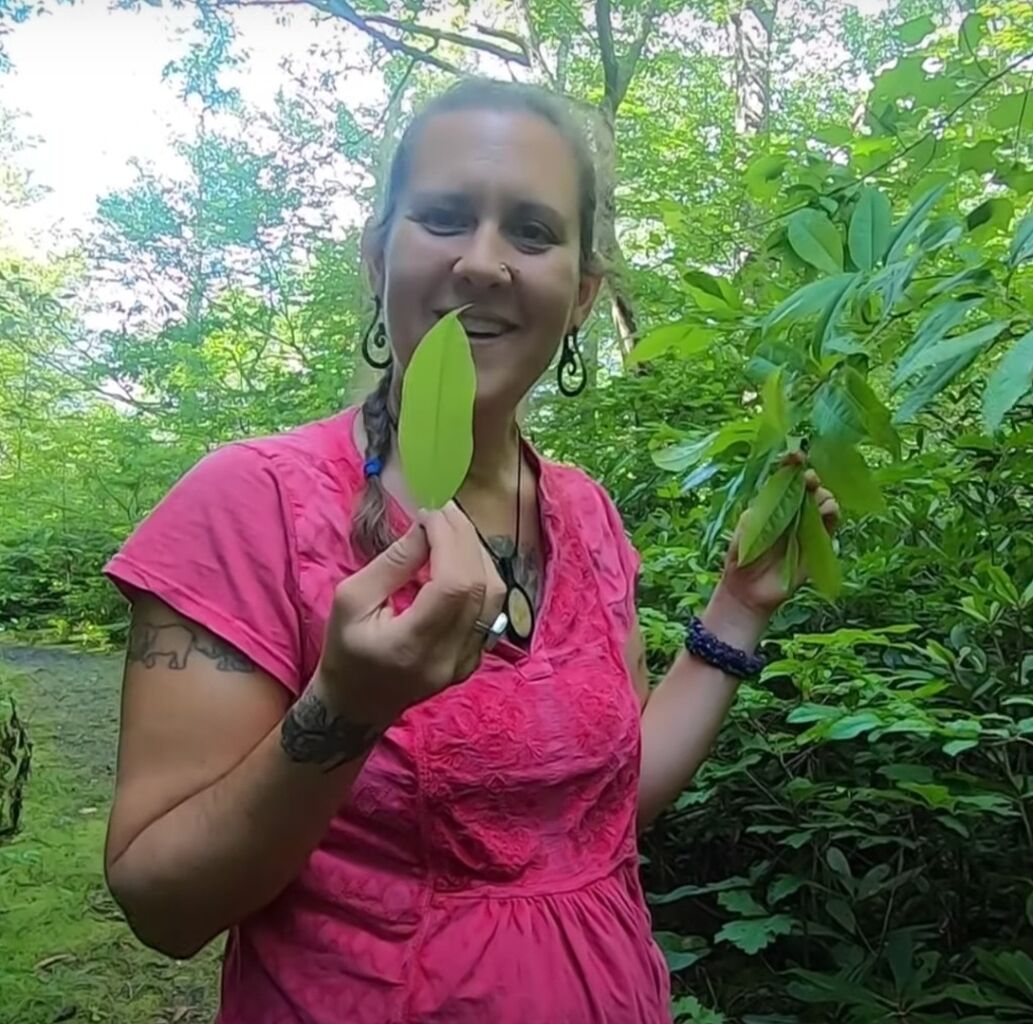 Virtual Plant Walk (Video) &mdash; The WANDER School