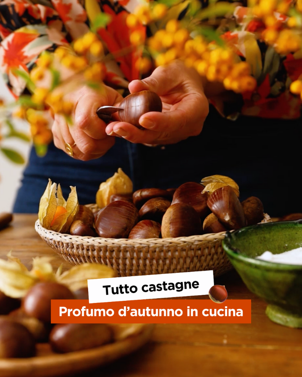 Raccolta castagne