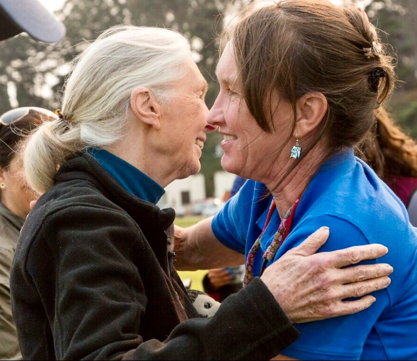 Remembering Dr. Jane Goodall, A Voice for the Wild 