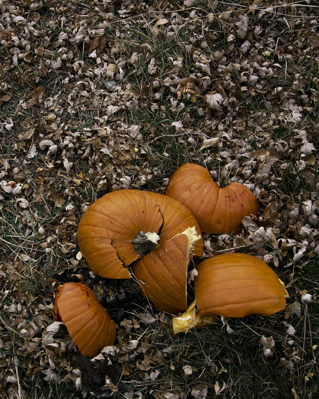 Pumpkin Smash 2025