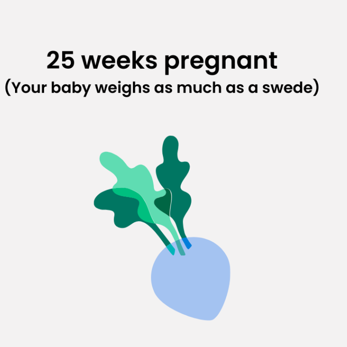 25 weeks pregnant